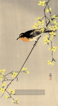 Japanische Werke - orange breasted bird Ohara Koson Japanese